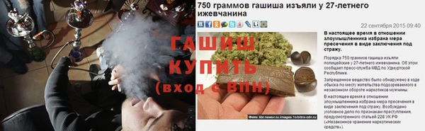 не бодяженный Ладушкин