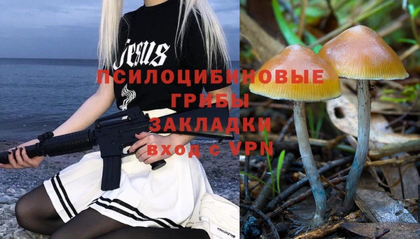 mdpv Лабытнанги