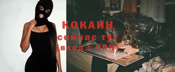 не бодяженный Ладушкин