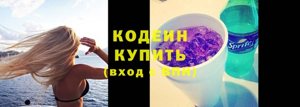 мдпв Лагань