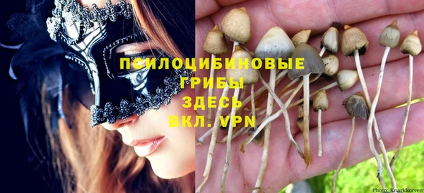 mdpv Лабытнанги