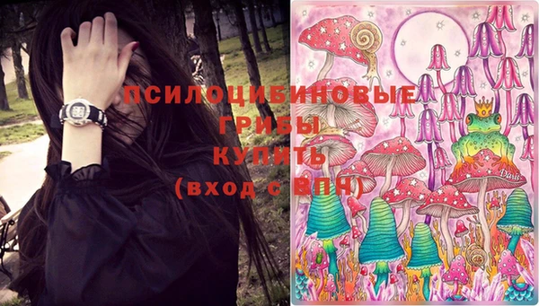 не бодяженный Ладушкин