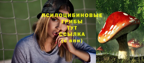 мдпв Лагань