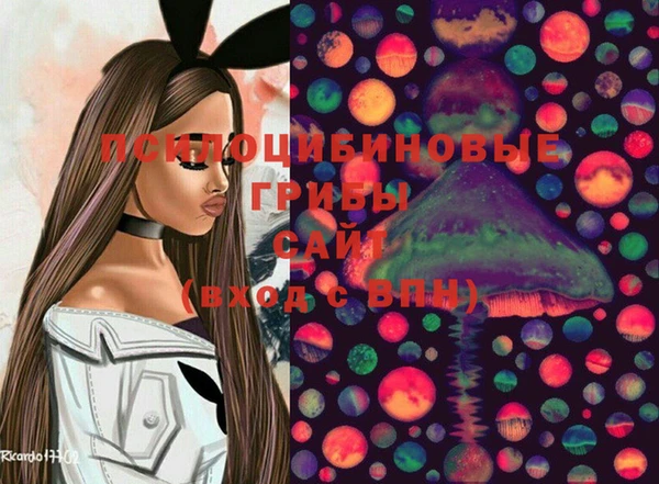 не бодяженный Ладушкин