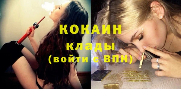 мдпв Лагань